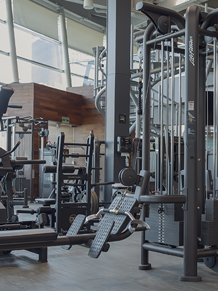 Área de Fuerza UFIT Wellness